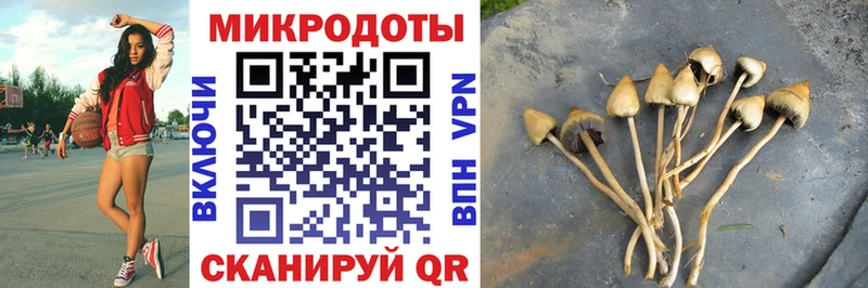 Псилоцибиновые грибы Psilocybine cubensis  дарнет шоп  гидра зеркало  Киселёвск 
