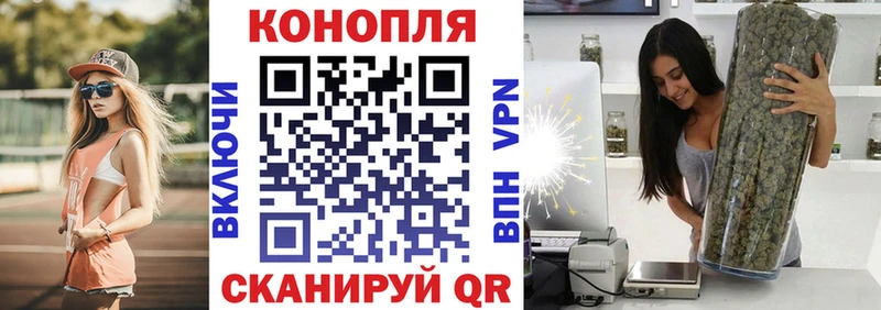 Бошки марихуана VHQ  Киселёвск 